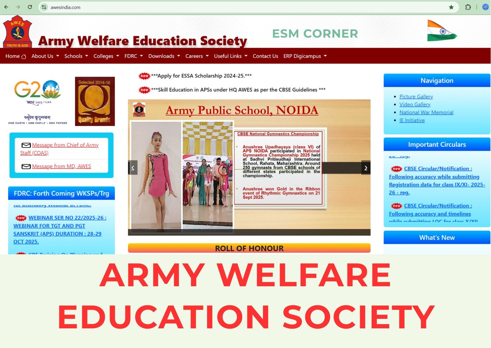 ESM_CORNER_AWES