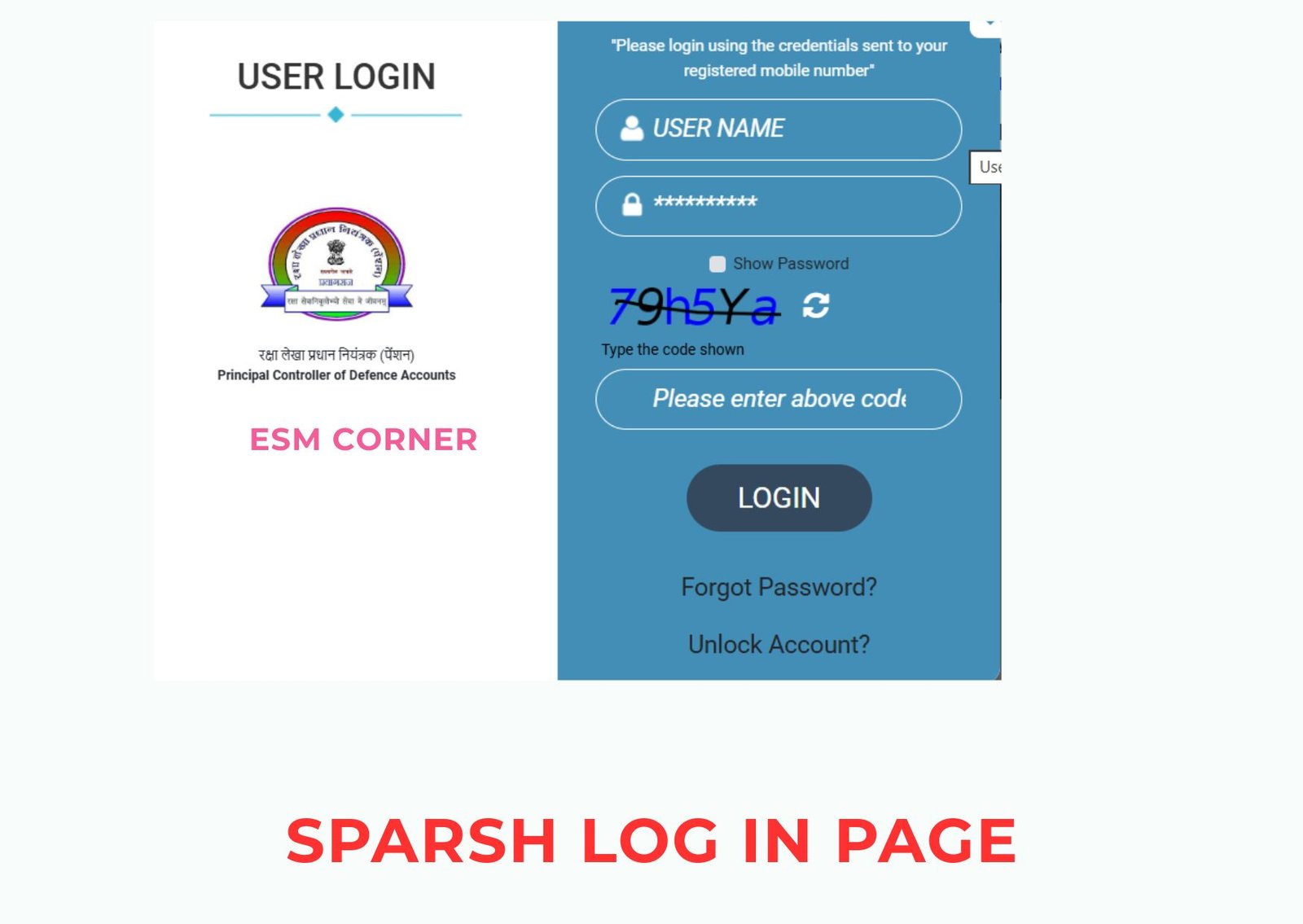 esm-corner-sparsh-user-guide